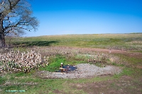 Родник близ посёлка Вторая Пятилетка. Апрель 2025 года