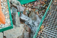 Родник Каргалка. 2025 год