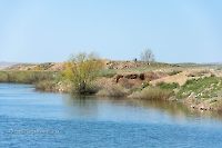 Река Жарбутак (Джар-Бутак). Апрель 2023 года