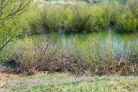 Река Жарбутак (Джар-Бутак). Апрель 2023 года