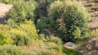 Река Дергаиш
