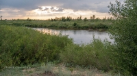 Река Илек. Июль 2019 года