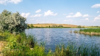 Река Баузда. Июнь 2021 года