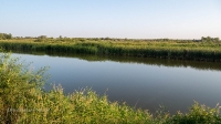 Река Донгуз. Август 2021 года