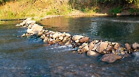 Река Каргалка. Август 2022 года