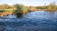 Река Камсак (Камсакты). Май 2021 года