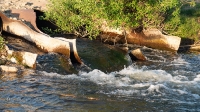 Река Камсак (Камсакты). Май 2021 года