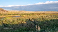 Река Малая Караганка. Сентябрь 2021 года