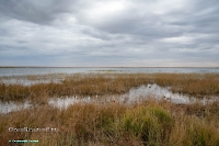 Красночабанское водохранилище. Октябрь 2024 года