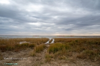 Красночабанское водохранилище. Октябрь 2024 года