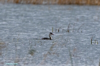 Красночабанское водохранилище. Октябрь 2024 года