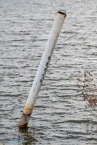 Красночабанское водохранилище. Октябрь 2024 года