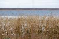 Красночабанское водохранилище. Октябрь 2024 года