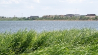 Озеро Свистун. Июнь 2021 года