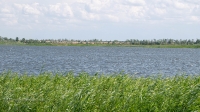 Озеро Свистун. Июнь 2021 года