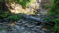 Саринский водопад