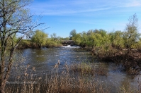 «Труба» на реке Большой Кумак. Май 2014 года