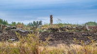 Старое кладбище со стелой-кулпытасом близ села Красноуральск