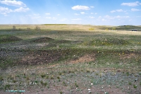 Гирьяльский медный рудник. Апрель 2025 года