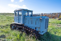 Ишкиновский пруд. Май 2025 года