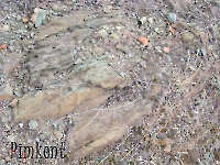 Гора Преображенская. 2009 год