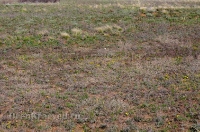 Городской округ Орск