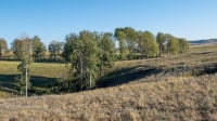 Конезаводское (Разинское) карстовое поле. Август 2021 года