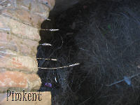 Кладбище «Покровское». 2009 год