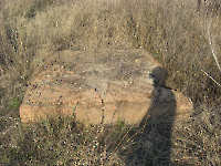 Кладбище «Покровское». 2009 год