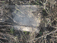 Кладбище «Покровское». 2009 год