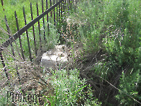 Кладбище «Покровское». 2009 год