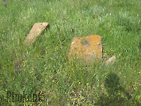 Кладбище «Покровское». 2009 год