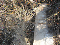 Кладбище «Покровское». 2009 год