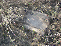 Кладбище «Покровское». 2009 год