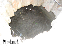 Кладбище «Покровское». 2009 год