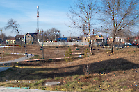 Сад Шевченко. Ноябрь 2025 года