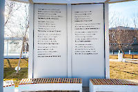 Сквер Пушкина. Ноябрь 2025 года