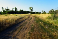 Посёлок Харьковка. Июль 2015 года