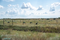 Город Ясный. Июнь 2025 года