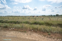 Город Ясный. Июнь 2025 года