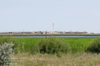 Посёлок Первомайский. Июнь 2025 года