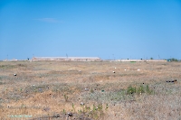 Посёлок Восточный. Июнь 2025 года