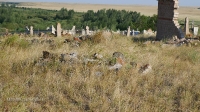 Кладбище близ аула Коинсай (Каинсай)