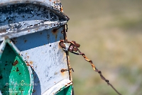 Памятник геологу В.А. Гаряинову на Гирьяльском хребте. Апрель 2025 года