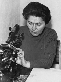 Наталья Александровна за описанием шлифов