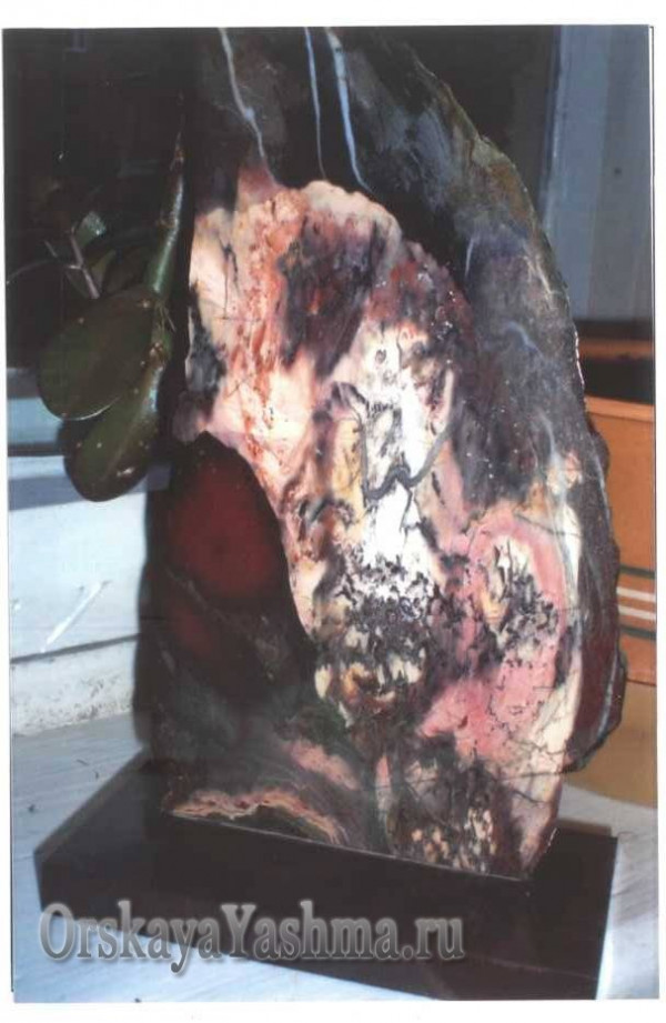 Рис. 38 Портретная яшма «Первооткрыватель» 1:1,5