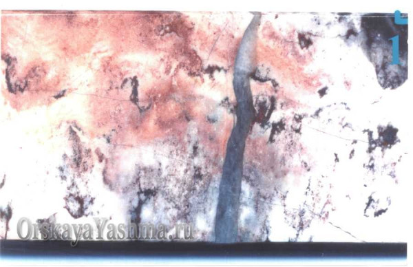 Рис. 48 Пейзажная яшма. «Розовый туман»; 1:1