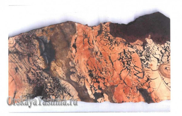 Рис. 12 Яшма брекчяевидной текстуры„ 1:1