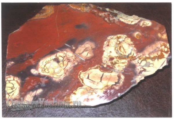 Рис. 23 Яшма копейчато-контракционной текстуры.