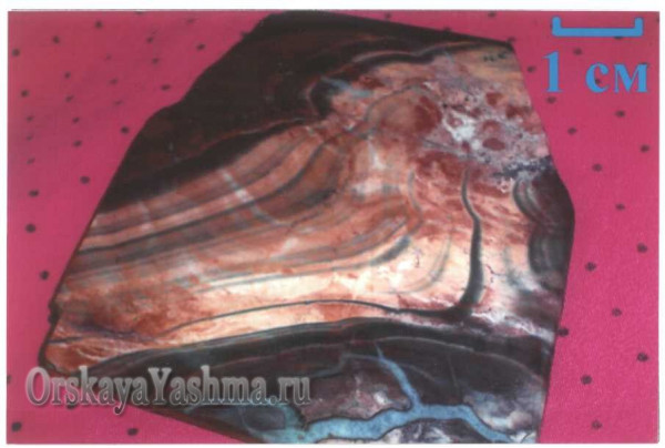 Рис. 24 Яшма флюидально-полосчатой текстуры.